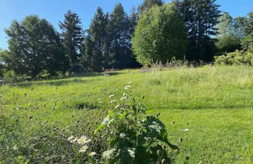 Öko-Fachwerkhaus am Schwarzwald - Foto 25