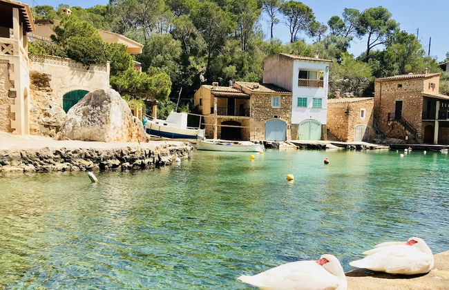 Apartaments Marina Sol i Pins - Foto 29