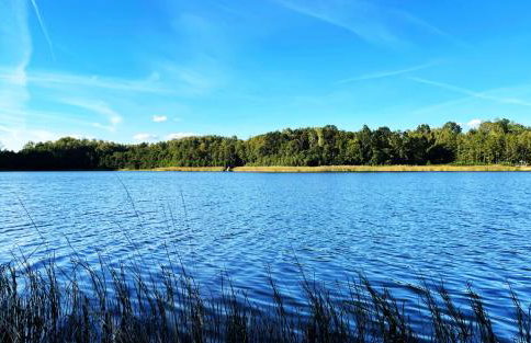 Nad Kamieniem - domki całoroczne - Foto 22