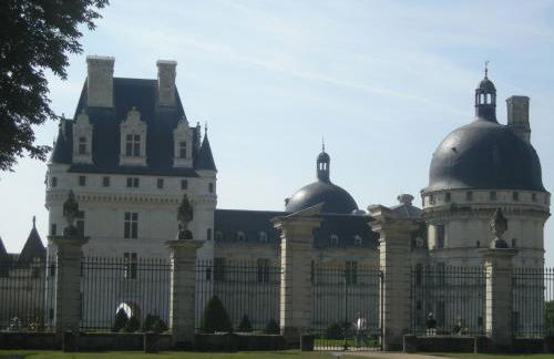 Maison de vacances avec grande piscine et tennis, proche du Zoo de Beauval et des Châteaux de la Loire - FR-1-591-47 - Foto 10