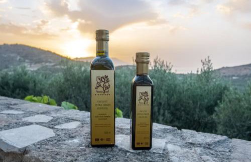 Rikanthos Stone Sea View Apartment ΙΙ - Foto 27