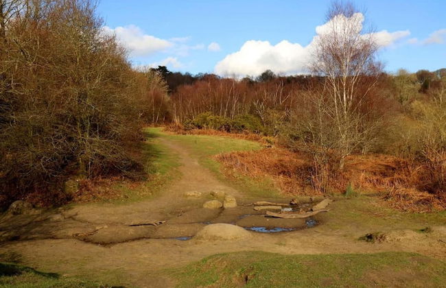 Charming 3 BR House - Garden Parking Near CS Lewis Park - Foto 2