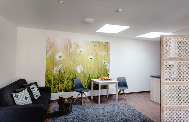 Apartments Zelny Trh III - Foto 26