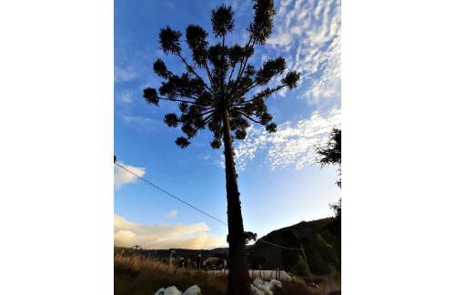 Chalé Caminho do Sol - Foto 80