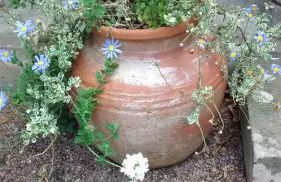 Quirky, romantic cottage with garden in Wye Valley - Foto 20