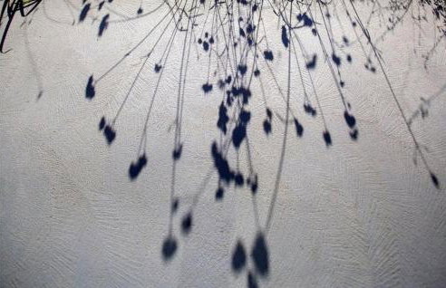 Villa Milaella - Foto 29