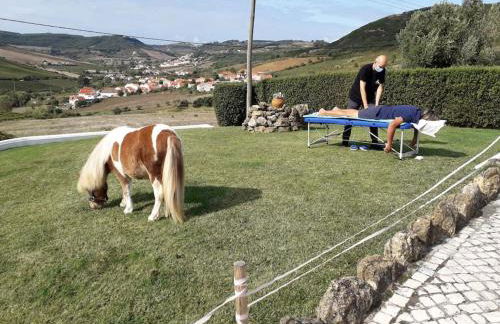 Casinha da Lareira - Quintinha dos Cavalos- Arruda dos Vinhos - Foto 48