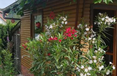 Ferienwohnung Edersonne - Foto 7