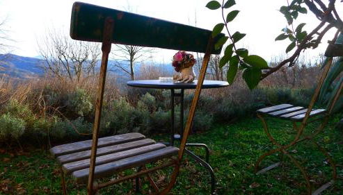 Agriturismo Bellavista - Foto 4