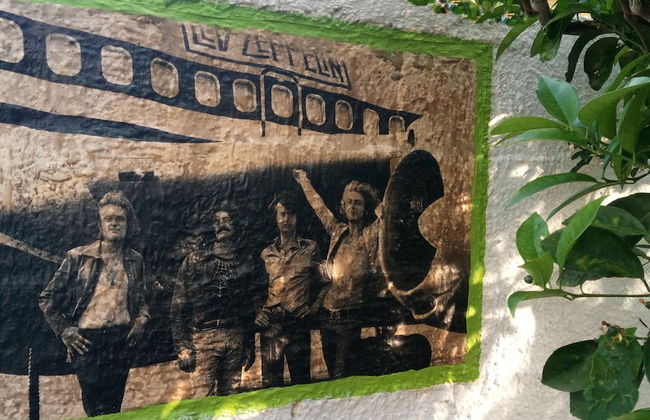 Zagara di Sicilia - Foto 65