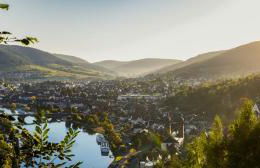 Bürgstadt, Am Bischof mit Sonnenterrasse, 1 bis 4 Betten - Foto 72