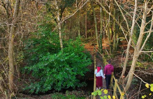 The Nest Danehill - Foto 40
