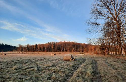 Mi Casa En Paczyno - Foto 49