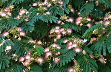 Casa Às Oito - Photo 31