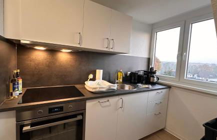 MiCasa TuCasa - 2-R-Apartment Leipziger Neuseenland Vega - Foto 17