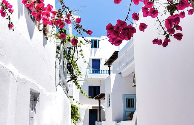 aniko suites White Alley - Photo 46