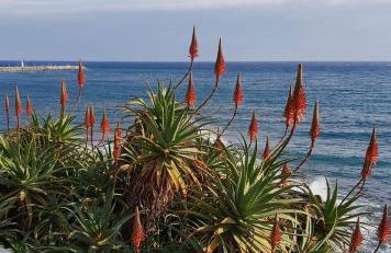 Classic Home Porto Maurizio - Photo 39