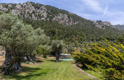 Honor - Rustic villa for 16 people - Foto 31