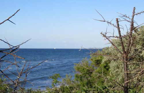 Ferienwohnung Kleine Auszeit - Foto 8