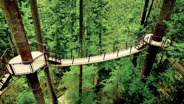 Vancouver und der Capilano Suspension Bridge Park - Halbtagsausflug - Foto 2