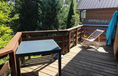 Gite Le Chalet SaintAnthème / Prabouré - Foto 12