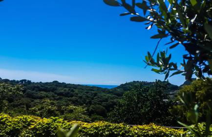 Appartamenti Luongo - Foto 41