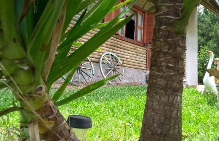 CHALÉ ESTÂNCIA OURO VERDE - Photo 26