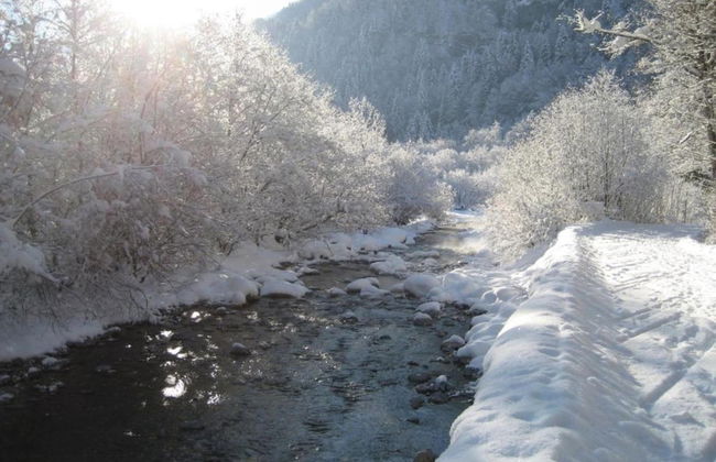 Chalet in Samoens Near Grand Massif Lift - Foto 42