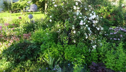 Alte Scheune Rietzschelhof mit Pool - Foto 5, Garden