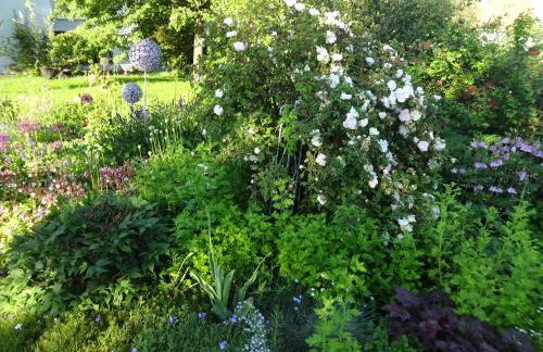 Alte Scheune Rietzschelhof mit Pool - Foto 5