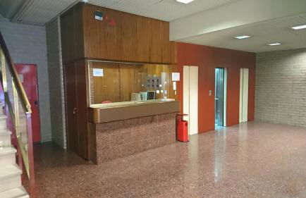 Fabiola Zentro - Foto 26