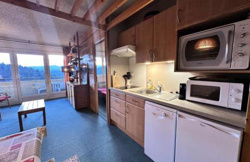 Résidence Les Glovettes - Ensemble immobilier au départ des pistes de ski de Villard de Lans MAE-3614 - Foto 4