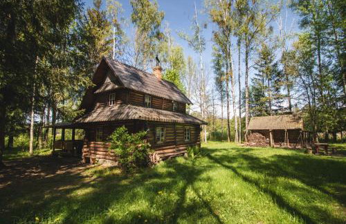 Chatka w lesie - Foto 27