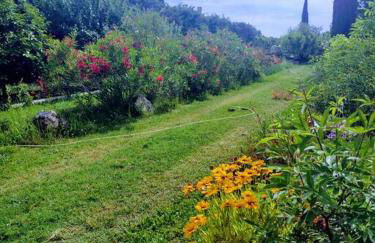 maison piscine privée Robion Luberon idéal famille - Foto 27