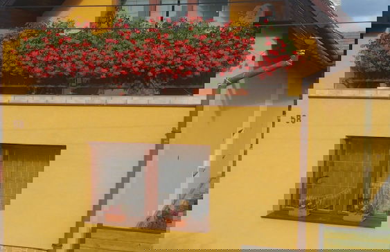 Privat u Zdenky - Foto 27