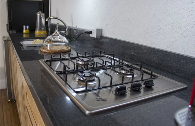 Casa Moctezuma - Foto 37