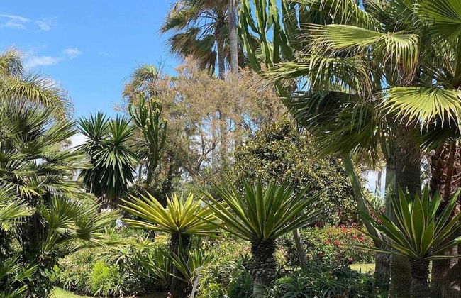 Cozy Garden Apartment by Sea - Foto 28