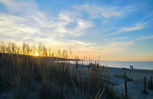 Perla marina - Foto 40