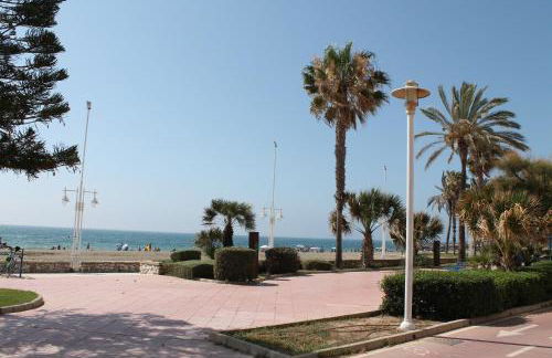 PACIFICO 18 - Photo 70