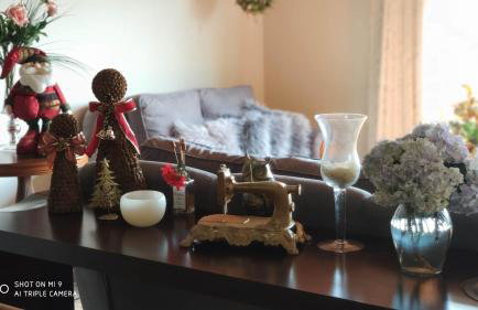 Ampla Cobertura no Centro de Gramado - Foto 11