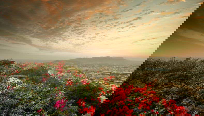 Guayaquil Complete City Tour - Foto 1