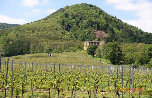 Phönix aus der Asche - Foto 35