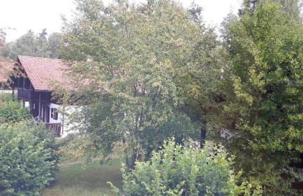 Ferienhaus Virzi - Waldferiendorf Regen - Foto 50