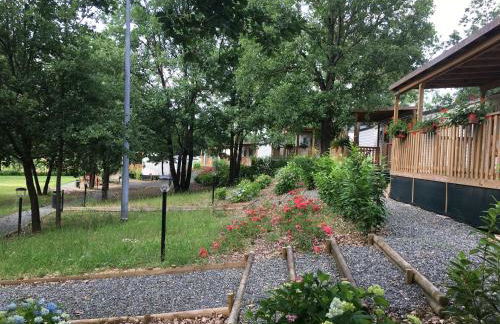 Tenuta Montebello - Foto 48