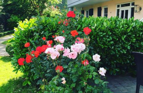 Gut Buchenhof - Photo 75