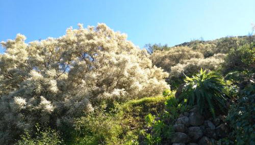 Chalet Ruta Las Lagunetas - Foto 5