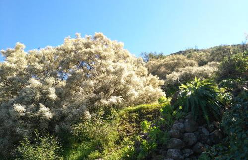 Chalet Ruta Las Lagunetas - Foto 5