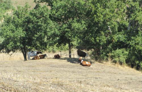 Agriturismo San Pietro - Foto 119