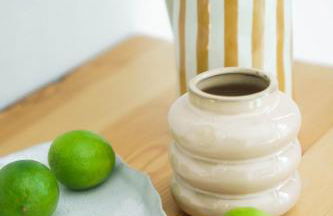 Coral Suite Plaza - Photo 24