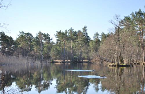 Żurawie domki letniskowe - Foto 4